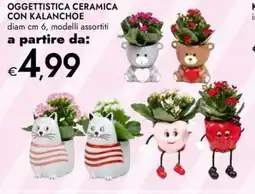 Bennet Oggettistica ceramica con kalanchoe offerta