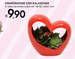 Bennet Composizione con kalanchoe offerta