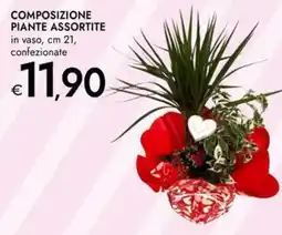 Bennet Composizione piante assortite offerta