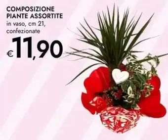 Bennet Composizione piante assortite offerta