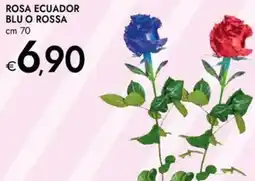 Bennet Rosa ecuador blu o rossa offerta