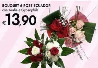 Bennet Bouquet 6 rose ecuador offerta