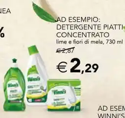 Esselunga Ad esempio: detergente piatti concentrato offerta