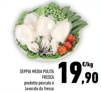 Conad Seppia media pulita fresca offerta