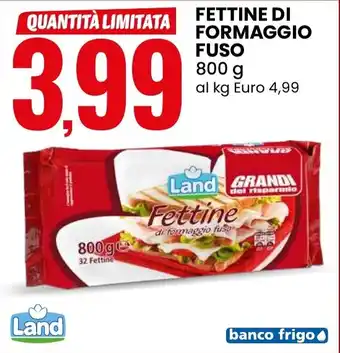 Eurospin Fettine di formaggio fuso offerta