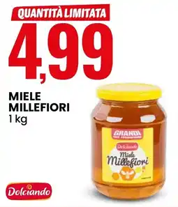 Eurospin Miele millefiori offerta