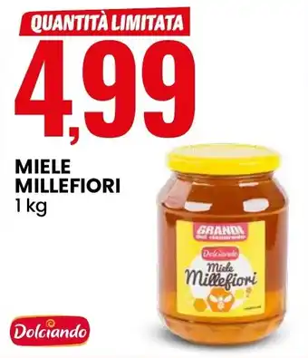 Eurospin Miele millefiori offerta