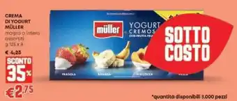 Panorama Crema di yogurt müller magro o intera assortiti offerta