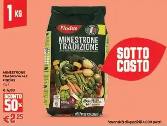 Panorama Minestrone tradizionale findus offerta