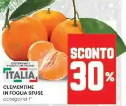 Panorama Clementine in foglia sfuse categoria offerta