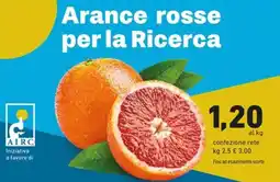 MEGA Arance rosse per la Ricerca offerta