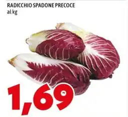 MEGA Radicchio spadone precoce offerta