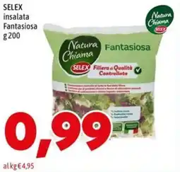 MEGA SELEX insalata Fantasiosa offerta