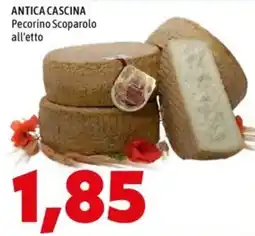 MEGA ANTICA CASCINA Pecorino Scoparolo offerta