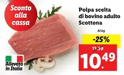 Lidl Polpa scelta di bovino adulto Scottona offerta