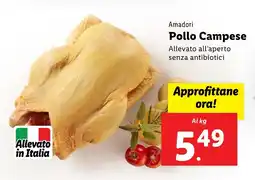 Lidl Amadori Pollo Campese offerta