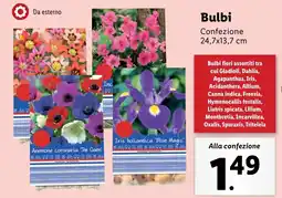 Lidl Bulbi offerta