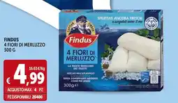 Deco Superfreddo Findus 4 fiori di merluzzo offerta