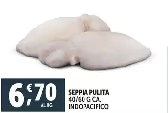 Deco Superfreddo Seppia pulita offerta