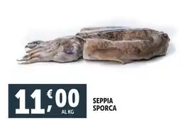 Deco Superfreddo Seppia sporca offerta