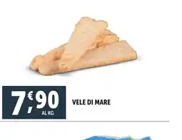 Deco Superfreddo Vele di mare offerta