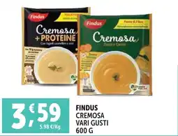 Deco Superfreddo Findus cremosa vari gusti offerta