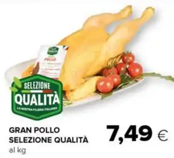 Tigre Gran pollo selezione qualità offerta