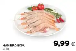 Tigre Gambero rosa offerta