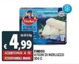 Deco Supermercati Findus 4 fiori di merluzzo offerta