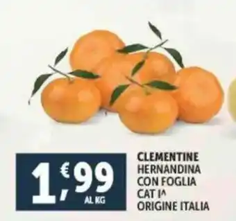 Deco Supermercati Clementine hernandina con foglia offerta