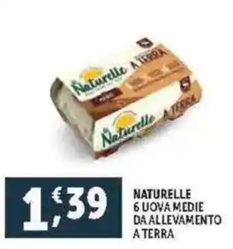 Deco Supermercati Naturelle 6 uova medie da allevamento a terra offerta