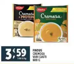 Deco Supermercati Findus cremosa vari gusti offerta