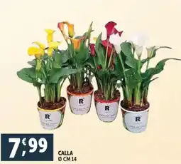 Deco Supermercati Calla offerta