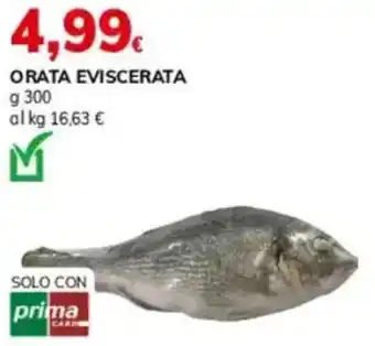 Basko Orata eviscerata offerta