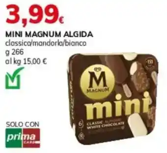 Basko Mini magnum ALGIDA offerta