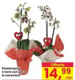 Interspar Phalenopsis 2 rami con vaso in ceramica offerta