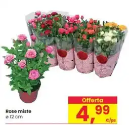 Interspar Rose miste offerta