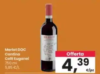 Interspar Merlot DOC Cantina Colli Euganei offerta