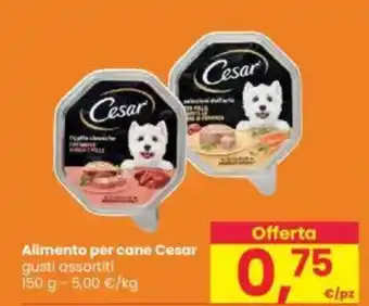 Interspar Alimento per cane Cesar offerta