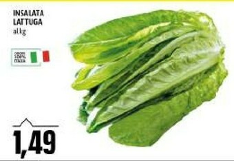Emi Supermercati Insalata lattuga offerta