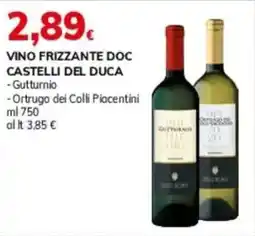 Basko Vino frizzante doc CASTELLI DEL DUCA offerta