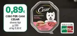 Basko Cibo per cani CESAR offerta