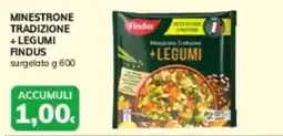 Basko Minestrone tradizione + legumi FINDUS offerta