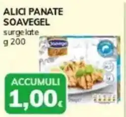 Basko Alici panate SOAVEGEL offerta