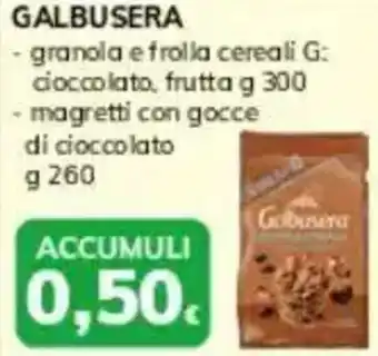 Basko Galbusera - granola e frolla cereali G: cioccolato, frutta magretti con gocce di cioccolato offerta