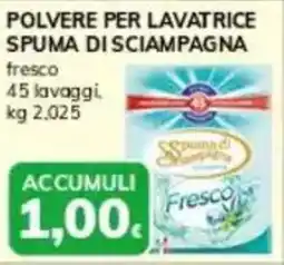 Basko Polvere per lavatrice SPUMA DI SCIAMPAGNA offerta