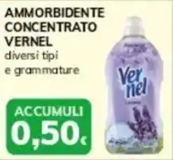 Basko Ammorbidente concentrato VERNEL offerta