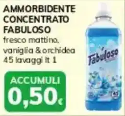 Basko Ammorbidente concentrato FABULOSO offerta