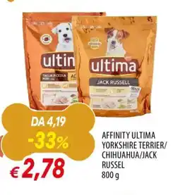 Famila Affinity ultima yorkshire terrier/ chihuahua/jack russel offerta