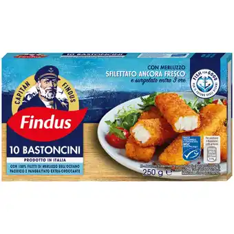 Qui Discount BASTONCINI MERLUZZO FINDUS 10 PZ - 250 G offerta